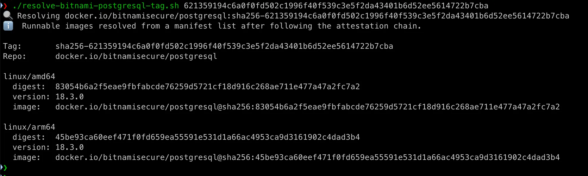 Registry-style context: the copied digest-looking tag is easy; the manifest behind it is not